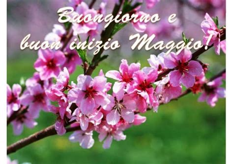 1 Maggio Buona Festa Dei Lavoratori Le IMMAGINI Per Gli Auguri