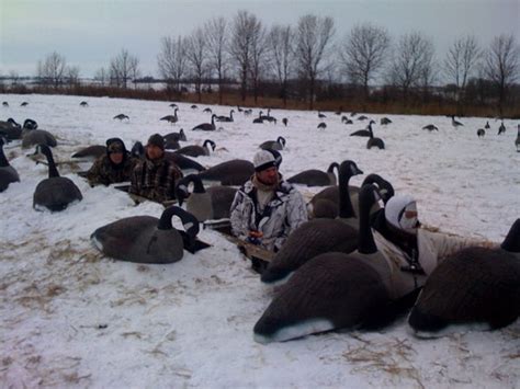 Canada Goose Decoys - Premier Flight Guide Service