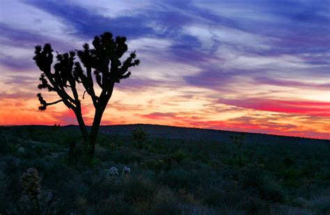 Police identify Mojave desert murder victims from 1980 cold case and ...