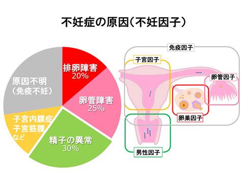 不妊検査｜梅ヶ丘産婦人科