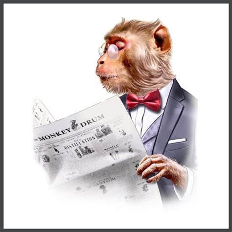 grey monkey graffiti cocktails aps