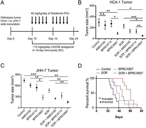 A Highly Selective And Potent Cxcr4 Antagonist For Hepatocellular