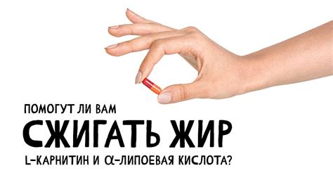Сжигают ли жир л-карнитин и альфа-липоевая кислота? - YouTube