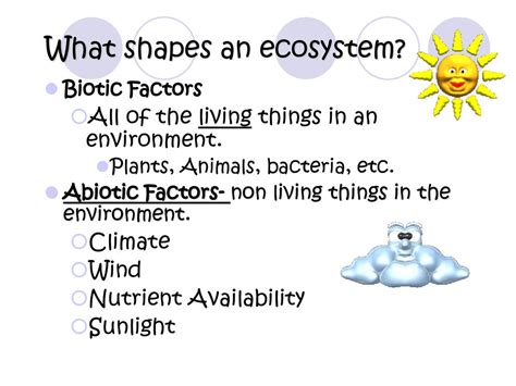 Ecology Scientific Study Of Interactions Between Organisms And Their