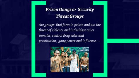 Chapter Security Threat Groups And Prison Gangs By Sandra Hawkins On