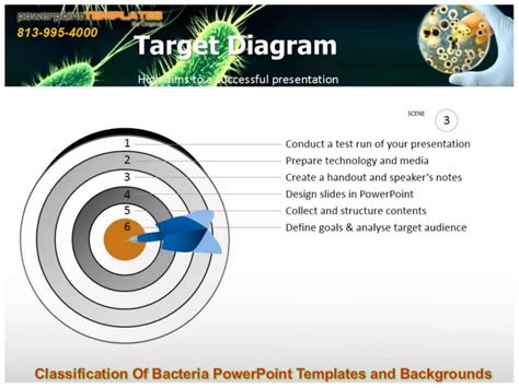 Classification Of Bacteria Power Point Templates And Backgrounds Ppt