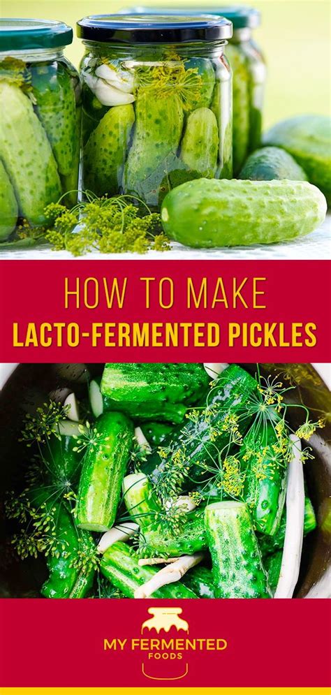 Lacto Fermented Pickles Artofit