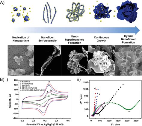 Applications Of D Nanoflower Structures In Biosensors A A Schematic