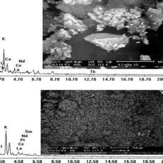 Sem Micrograph And The Corresponding Edx Spectrum Of Calcinated