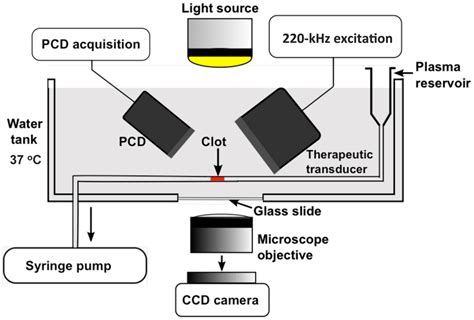 A Schematic Of The Experimental Set Up Used In The In Vitro Flow Download Scientific Diagram