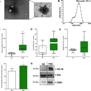 Proteomics Analysis Of Circulating EVs Isolated From PSC Patients A