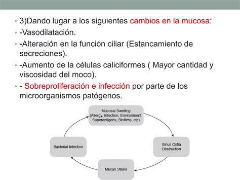 Rinosinusitis Aguda Y Cr Nica Ppt