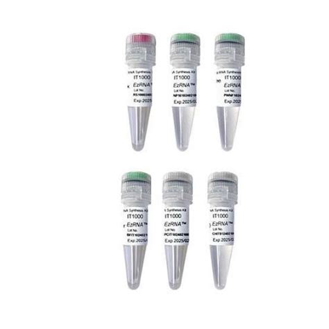 Enzyme Reagent Kit EzRNA T7 SMOBIO Technology Inc RNA