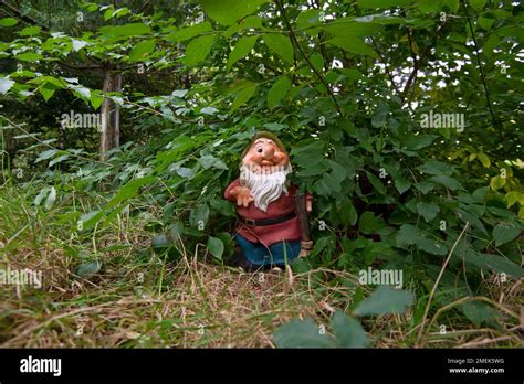 Funny garden gnome in a green garden Stock Photo - Alamy