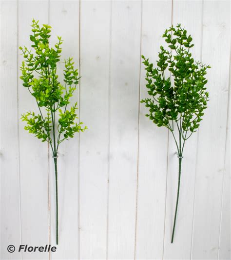 SGL EUCALYPTUS STEM 2 COLS ASS Florelle