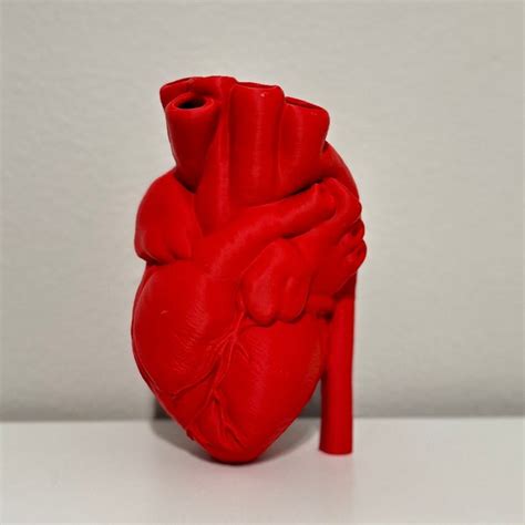 Heart Vase Etsy