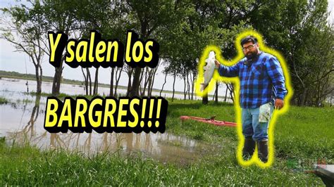 Falla De Kayak Y Buena Pesca De Bagres YouTube