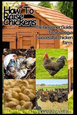 How To Raise Chickens The Beginners Guide To Building A Successful