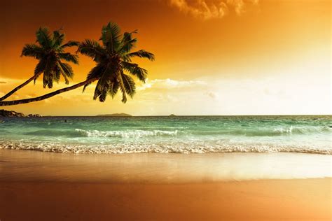 Caribbean Sea Beach – Print A Wallpaper