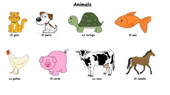 Spanish - Animals | Teaching Resources