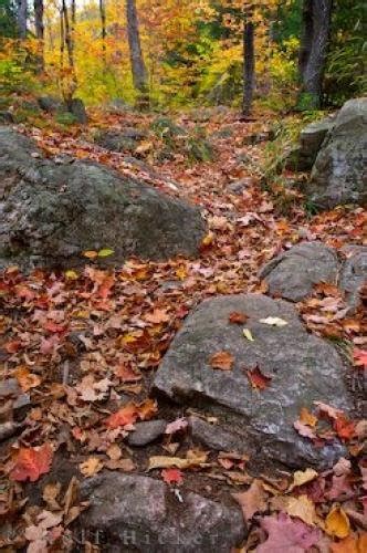 Autumn Scenery Ragged Falls Trail Ontario Canada | Photo, Information