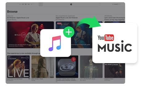 The Ultimate Guide To Getting YouTube Music On Your Apple Device