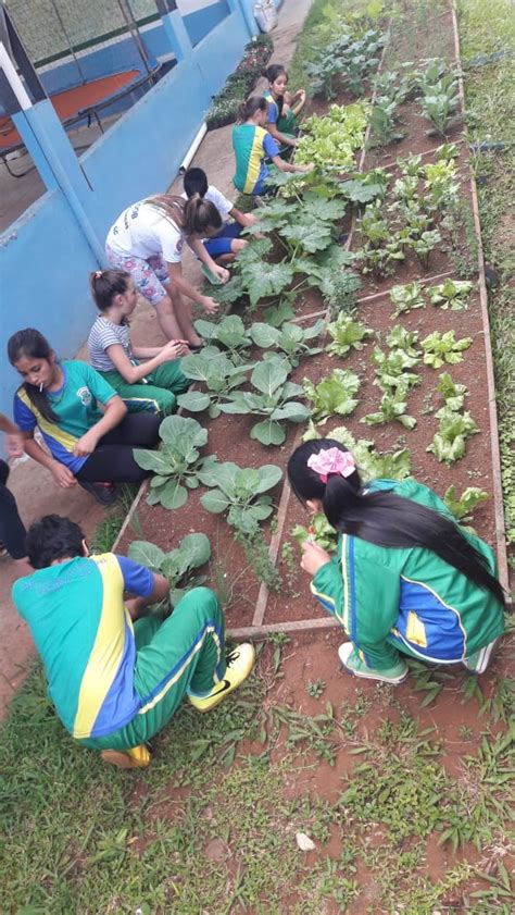 Alunos Que Participam Do Projeto Escola No Campo Criam Horta Escolar