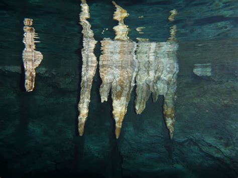 Snorkeling at Cenote Dos Ojos | Snorkeling the Mayan Riviera, Mexico