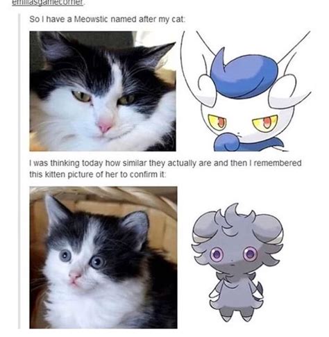 Pin By Jamiah Wilkins On Funny Pokemon Funny Pokemon Memes Cute