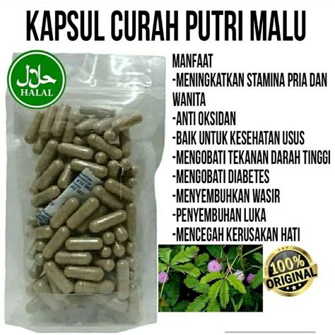 Jual Kapsul Daun Putri Malu Pcs Shopee Indonesia