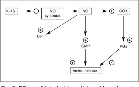 Figure 2 from Stress, norepinephrine and depression. | Semantic Scholar