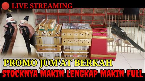 PROMO JUM AT BERKAH BARU MASUK BURUNG LOKAL IMPORT BELI ECER