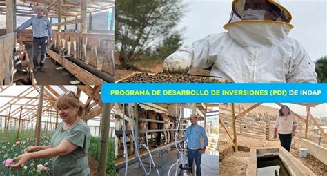 Mundo Rural De La Regi N De Coquimbo Crece Mediante Programa De