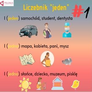 Learn Polish Podcast Liczebnik Jeden Ways To Say One Learn