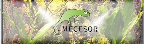 MECESOR Humidificadores de reptiles con sistema de nebulización