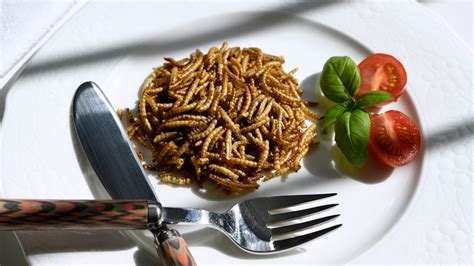 Insekten Essen Welche Produkte Gibt Es Wie Gesund Sind Sie NDR De