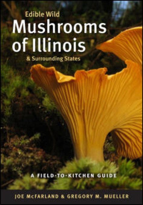 Edible Wild Mushrooms Of Illinois And Surrounding States A Field To