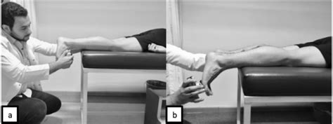 Ankle Plantar Flexion And Dorsiflexion Muscle Strength Measurement A