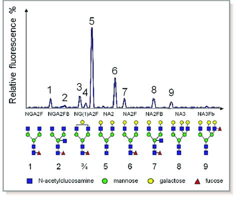 Typical Human Serum N Glycome Profile And Struc Download Scientific