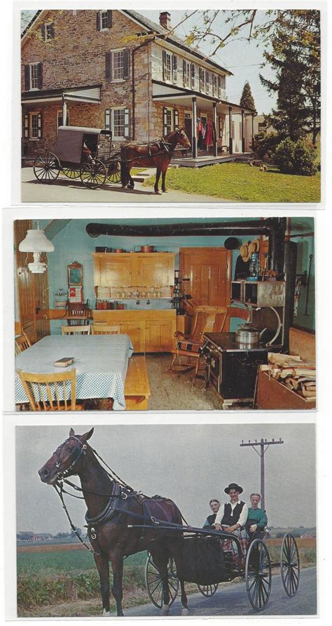 Lancaster PA Amish Farm and House Family Horse and Buggy 3 James Hess ...