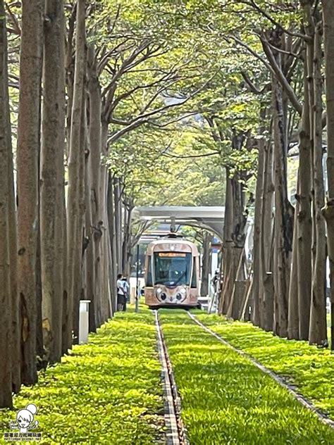 高雄特色景點 龍貓隧道，搭乘輕軌就可輕鬆抵達、輕軌美術館站好美 跟著尼力吃喝玩樂＆親子生活