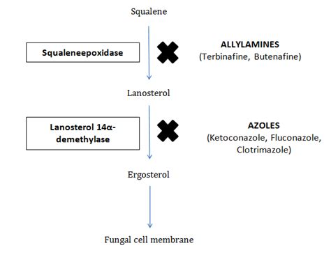 Topical Antifungals Used For Treatment Of Seborrheic Dermatitis