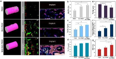 In Vivo Bone Regeneration After Implantation For Weeks A Left