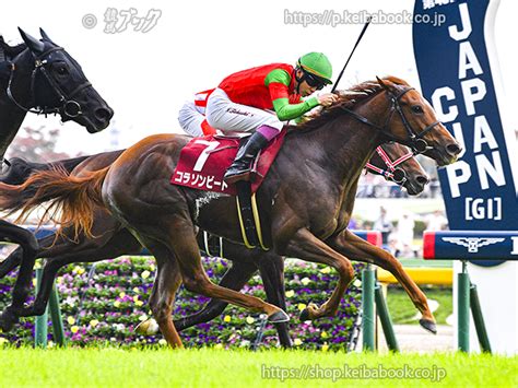 阪神ジュベナイルフィリーズ3着のコラソンビートが登場 ニュース 競馬ブック