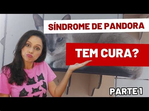 Síndrome de Pandora em gatos Tem cura Parte 1 YouTube