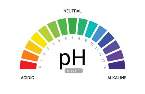 Women’s PH Balance Symptoms, Best Vitamins and More | Ph chart, Ph balance, Blood sugar diet