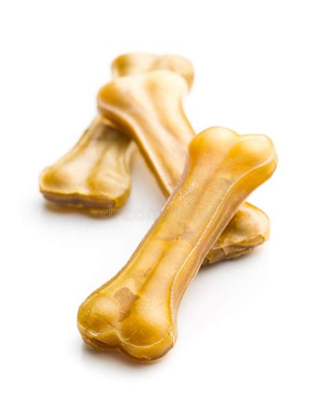 Косточка жевания собаки и сухие Kibble собачья еда Стоковое Изображение ...