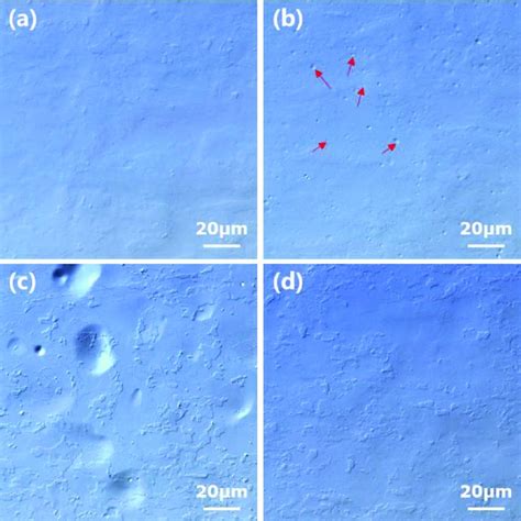 PDF Surface Blistering And Deuterium Retention In Tungsten Exposed To