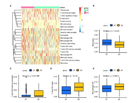 Immuno Infiltration Analysis Between S And S A Heatmap Plot Of