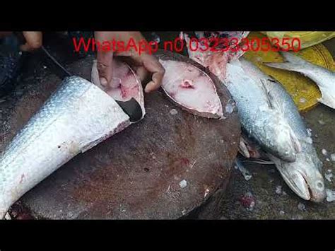 Fish Video White Rawas Fish Update Karachi Fishery Market On Th